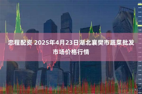 忠程配资 2025年4月23日湖北襄樊市蔬菜批发市场价格行情