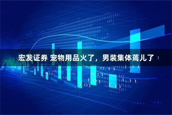 宏发证券 宠物用品火了，男装集体蔫儿了