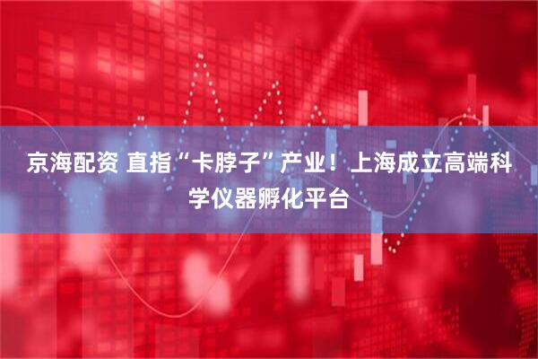 京海配资 直指“卡脖子”产业！上海成立高端科学仪器孵化平台