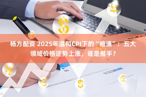 杨方配资 2025年温和CPI下的“暗涌”：五大领域价格逆势上涨，谁是推手？